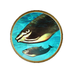 Киты round.png